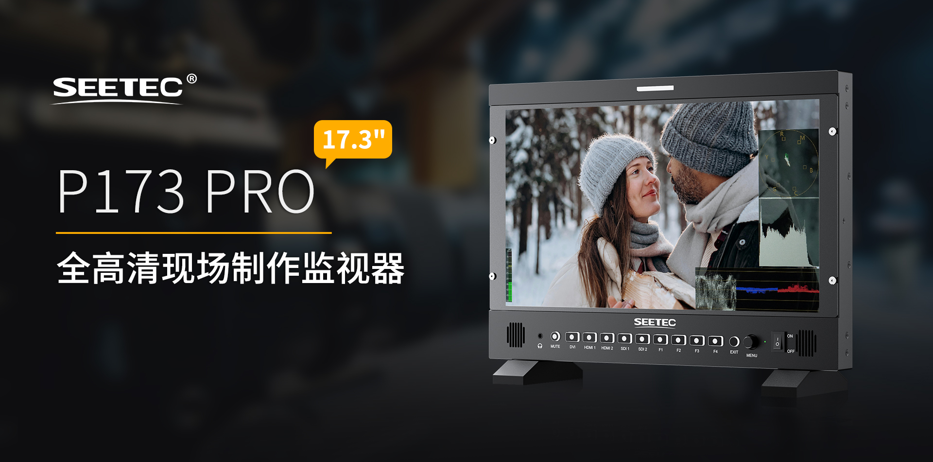 P173-PRO-全高清-监视器.jpg
