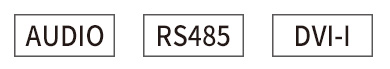 Audio-RS485-DVI-I