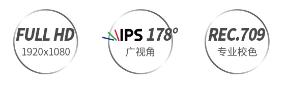 全高清IPSrec709监视器