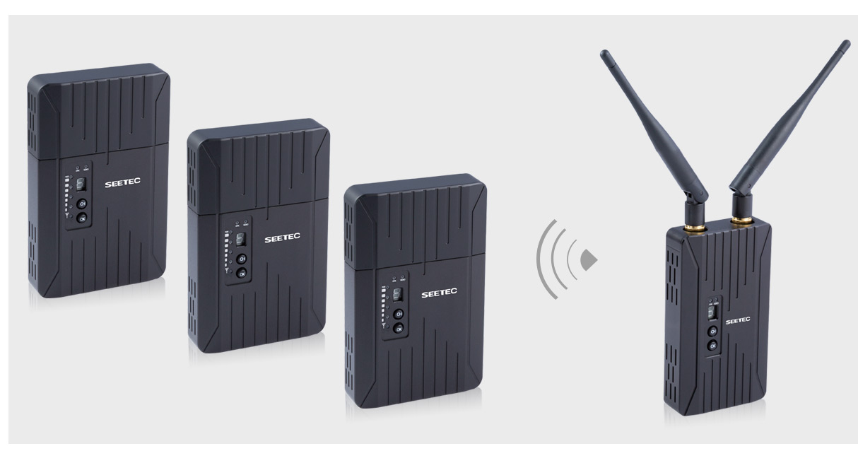 multipoint-video-system