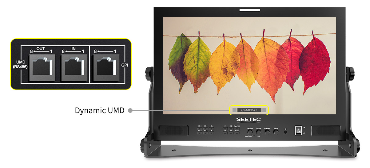 dynamic umd monitor